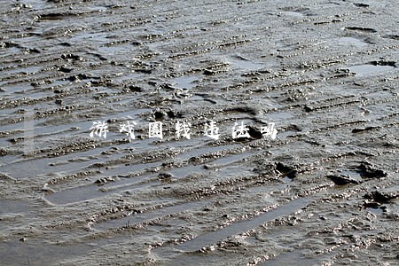 游戏圈钱违法吗 游戏圈钱违法吗