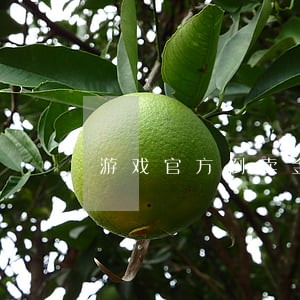 游戏官方倒卖金币违法