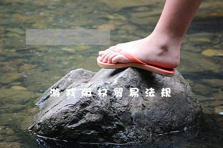 游戏版权贸易法规 游戏版权贸易法规