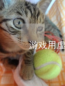 游戏用虚拟身份证号码违法么 游戏用虚拟身份证号码违法么