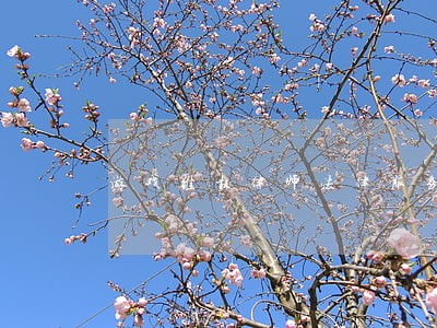 游戏维权律师法律服务 游戏维权律师法律服务