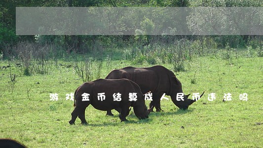 游戏金币结算成人民币违法吗 游戏金币结算成人民币违法吗