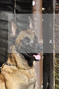 游闵建律师 游闵建律师