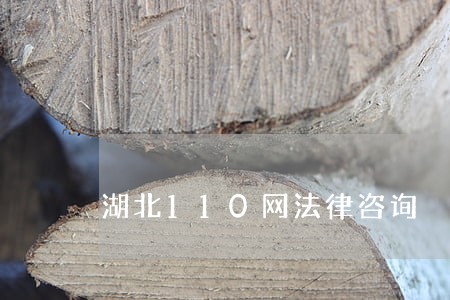 湖北110网法律咨询 湖北110网法律咨询