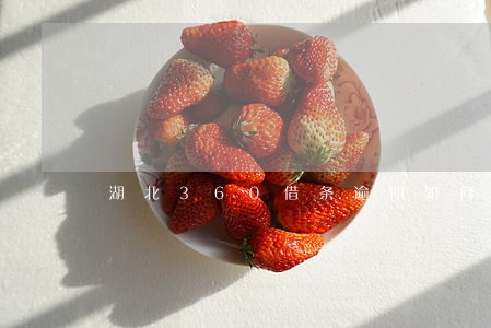 湖北360借条逾期如何协商