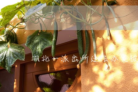 湖北一派出所违法办案被查处 湖北一派出所违法办案被查处
