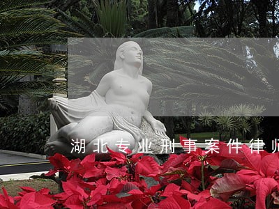 湖北专业刑事案件律师收费 湖北专业刑事案件律师收费