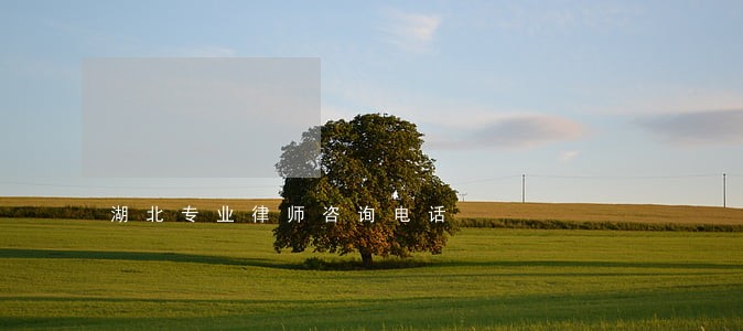 湖北专业律师咨询电话 湖北专业律师咨询电话