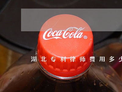 湖北专利律师费用多少 湖北专利律师费用多少