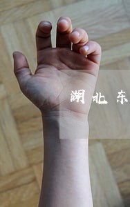 湖北东亚银行逾期如何协商招商 湖北东亚银行逾期如何协商招商