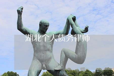 湖北个人债务律师 湖北个人债务律师