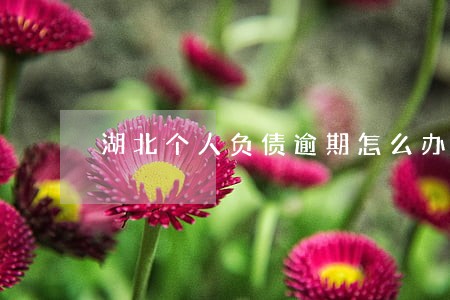 湖北个人负债逾期怎么办 湖北个人负债逾期怎么办