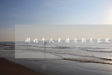 湖北个人负债逾期怎么处理 湖北个人负债逾期怎么处理