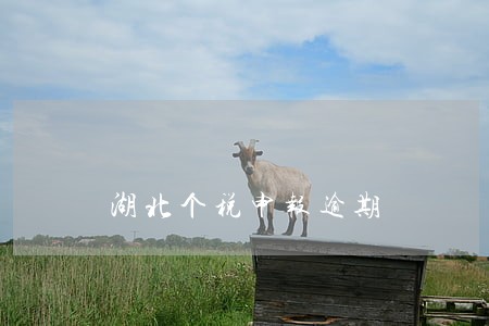 湖北个税申报逾期 湖北个税申报逾期
