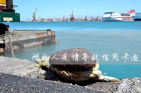 湖北人疫情导致信用卡逾期 湖北人疫情导致信用卡逾期