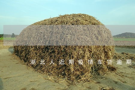 湖北人近期疫情车贷逾期怎么办 湖北人近期疫情车贷逾期怎么办