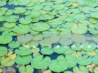湖北仓储合同纠纷律师