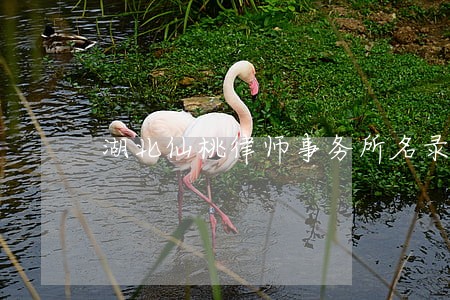 湖北仙桃律师事务所名录 湖北仙桃律师事务所名录