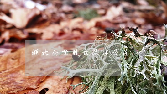 湖北企业股权法律咨询 湖北企业股权法律咨询