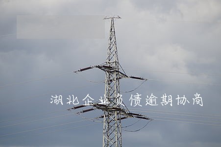 湖北企业负债逾期协商 湖北企业负债逾期协商