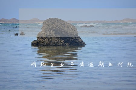 湖北企业负债逾期如何规划还款 湖北企业负债逾期如何规划还款