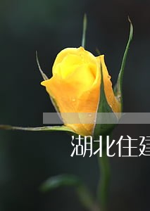 湖北住建厅法规处张明豪
