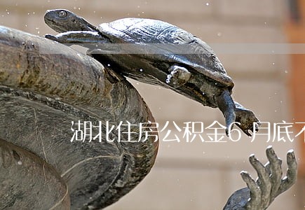 湖北住房公积金6月底不逾期