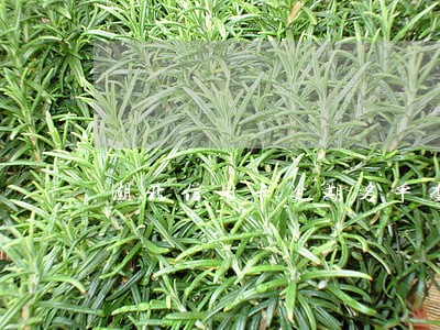 湖北信用卡逾期名单查询