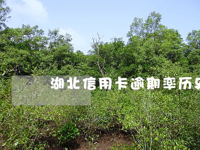 湖北信用卡逾期率历史新高
