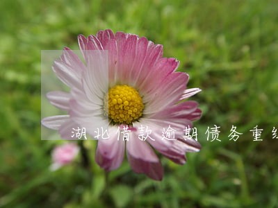 湖北借款逾期债务重组利弊 湖北借款逾期债务重组利弊