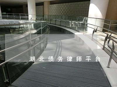 湖北债务律师平台 湖北债务律师平台