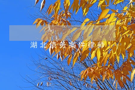 湖北债务案件律师 湖北债务案件律师