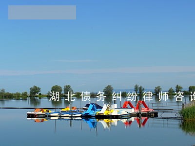 湖北债务纠纷律师咨询热线 湖北债务纠纷律师咨询热线