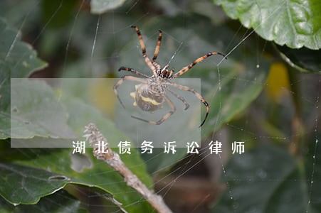 湖北债务诉讼律师