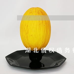 湖北债权债务律师咨询电话 湖北债权债务律师咨询电话