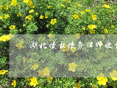 湖北债权债务律师收费 湖北债权债务律师收费