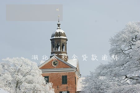 湖北公积金贷款逾期 湖北公积金贷款逾期