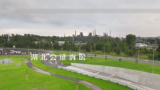 湖北公证诉讼