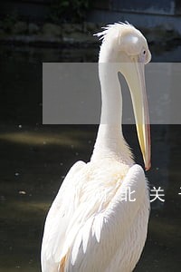 湖北关于房产法律咨询 湖北关于房产法律咨询