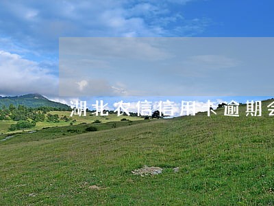 湖北农信信用卡逾期会怎样 湖北农信信用卡逾期会怎样