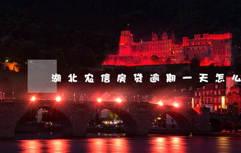 湖北农信房贷逾期一天怎么办
