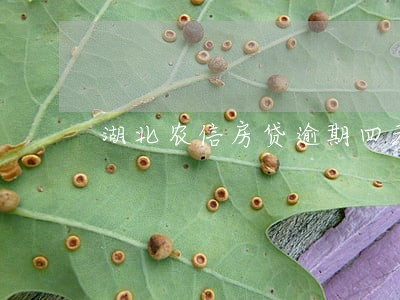 湖北农信房贷逾期四天 湖北农信房贷逾期四天