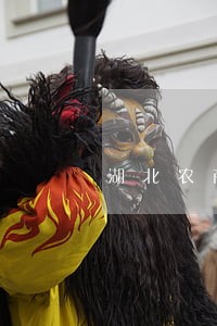 湖北农商房贷月供逾期两天 湖北农商房贷月供逾期两天