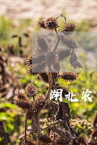 湖北农商行信用卡逾期协商 湖北农商行信用卡逾期协商