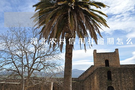湖北农村信用社逾期怎么协商 湖北农村信用社逾期怎么协商