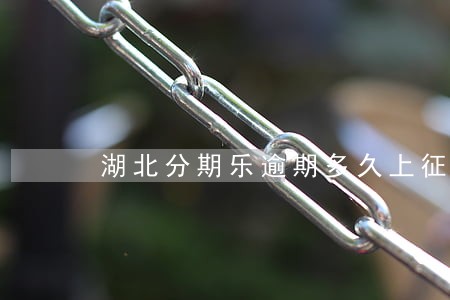 湖北分期乐逾期多久上征信 湖北分期乐逾期多久上征信