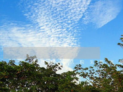 湖北利川法院失信名单 湖北利川法院失信名单