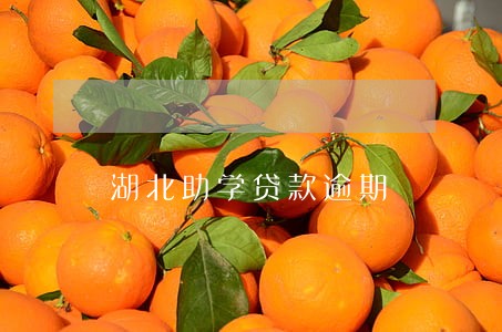 湖北助学贷款逾期 湖北助学贷款逾期