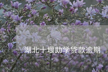 湖北十堰助学贷款逾期 湖北十堰助学贷款逾期