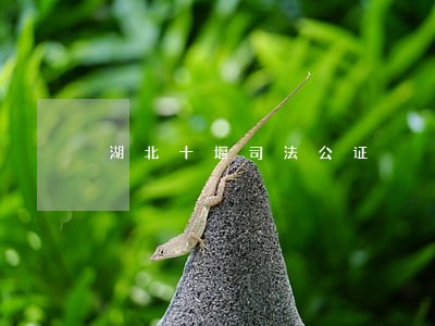 湖北十堰司法公证 湖北十堰司法公证